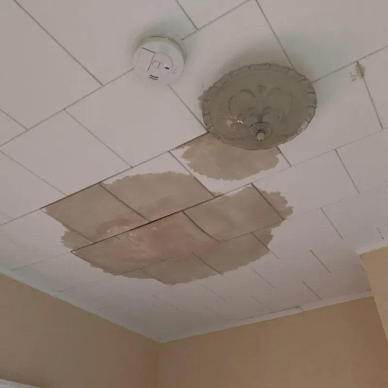 Ceiling Water Damage Repair in Jacksonwald, PA
